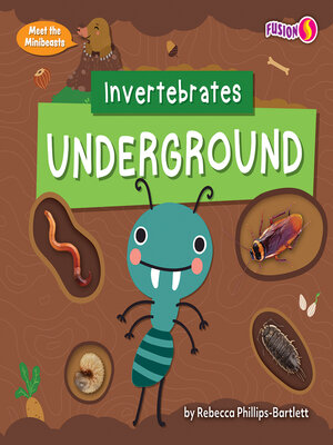 cover image of Invertebrates Underground